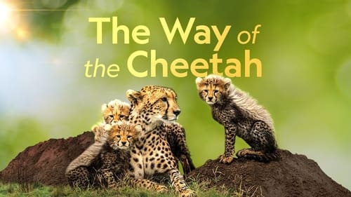 Watch The Way of the Cheetah Online TVLine