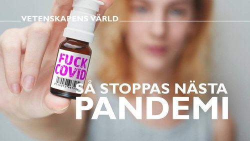 Épisode 11