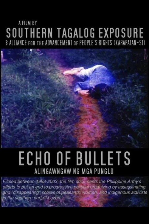 Echo of Bullets