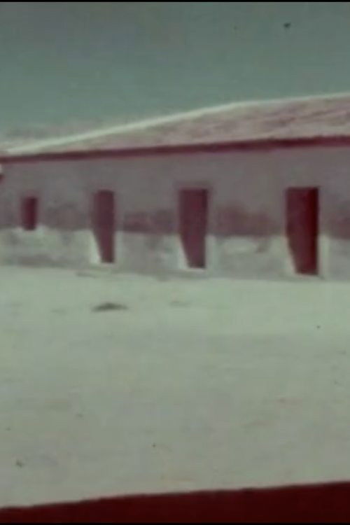 A Flor do Lácio é vadia Poster