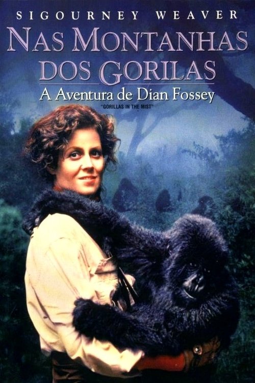 Nas Montanhas dos Gorilas movie poster player