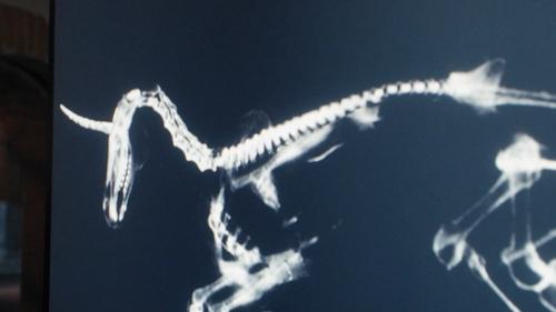 Death of a Unicorn Movie Screenshot