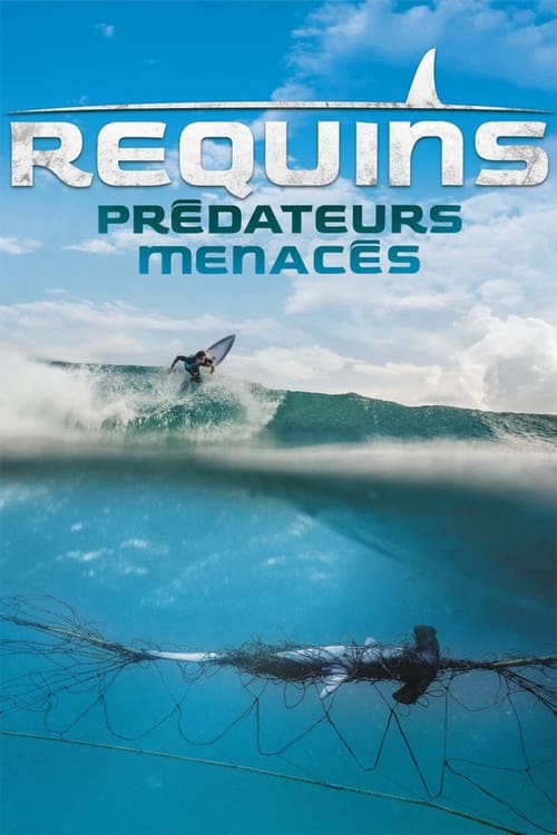 Requins, prédateurs menacés (2021)