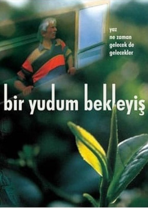 Bir Yudum Bekleyiş 2006