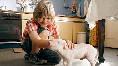 Rennschwein Rudi Rüssel