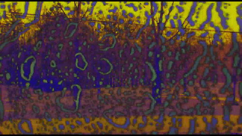 Joose Psychedelia Test