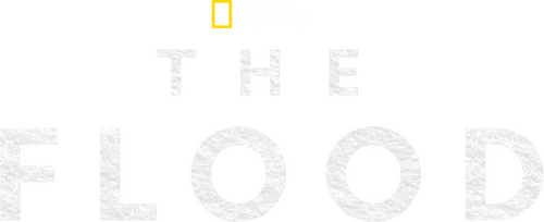 The Flood