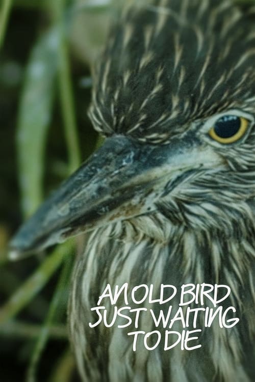 An Old Bird Just Waiting To Die (2023) poster