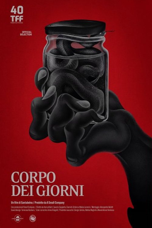 Póster oficial de The Substance of Days (2022) - Documentary