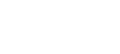 Norwegian Democrazy
