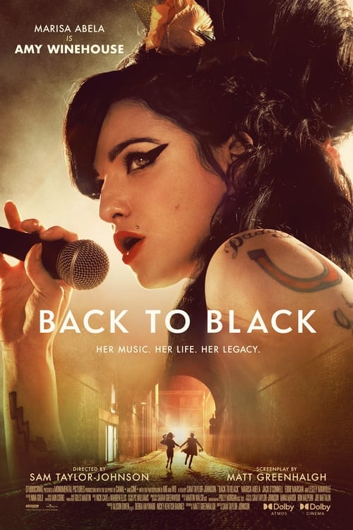 Back to Black (2024) poster