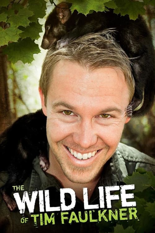 Poster The Wild Life of Tim Faulkner