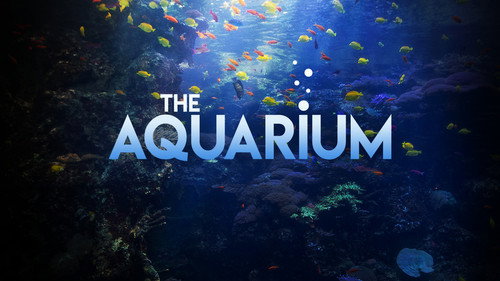 The Aquarium