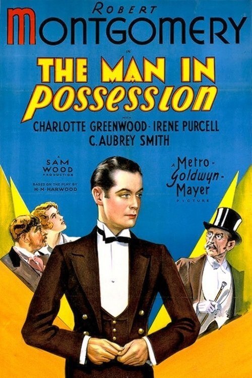 The Man in Possession movie poster player