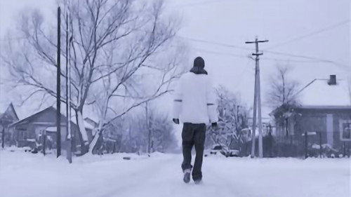 The Man Who Loved Flowers