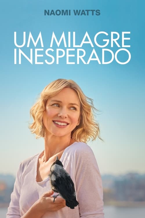 Poster do filme Um Milagre Inesperado