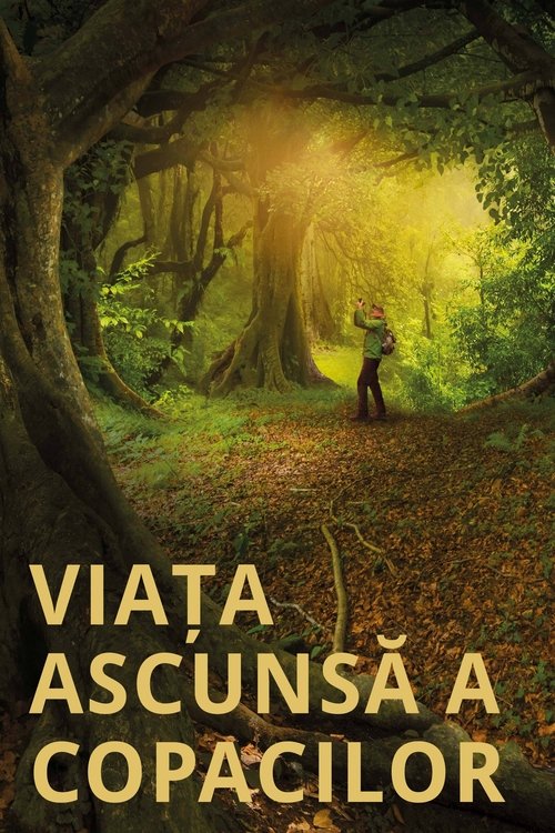 Poster pentru Viața ascunsă a copacilor
