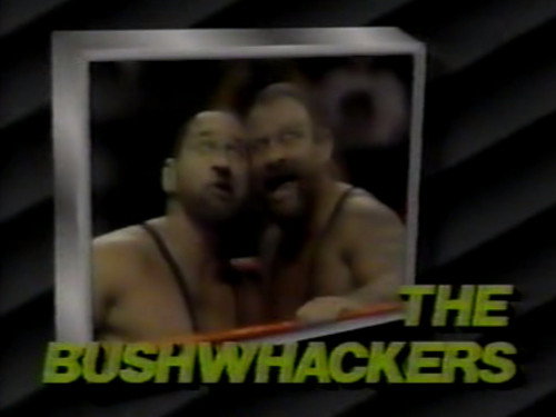 April 15, 1989 - Superstars of Wrestling 137