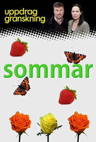 Uppdrag granskning sommar Poster