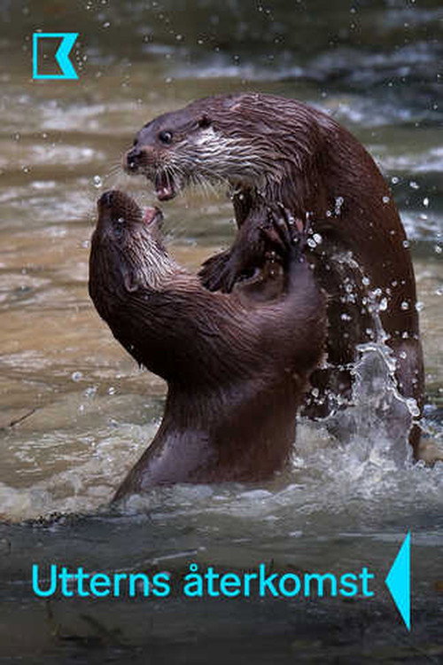 De Terugkeer van de Otter
