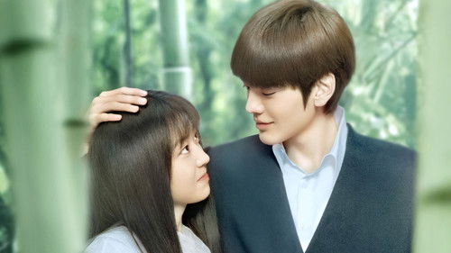 Sweet Tai Chi backdrop 2