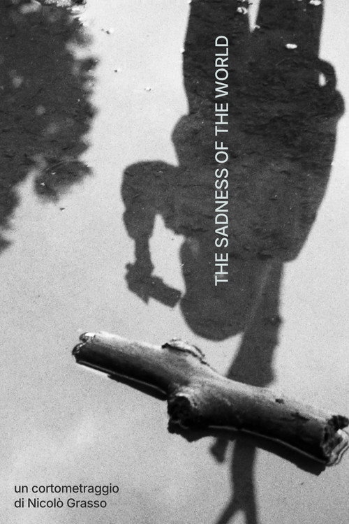 Poster The Sadness of the World