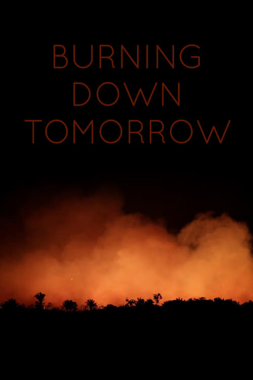 Burning Down Tomorrow (1990) poster