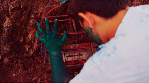 No Pulsar da Linguagem