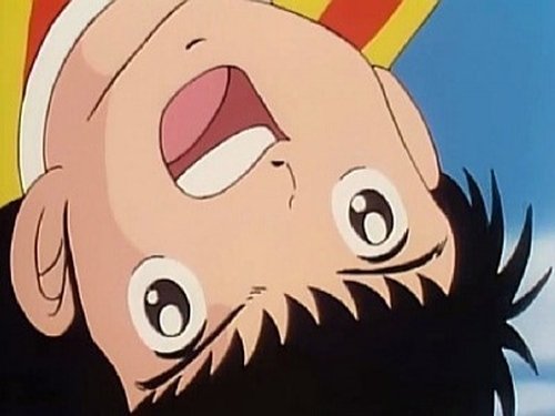 Ayaushi! Zen Nihon Jr.