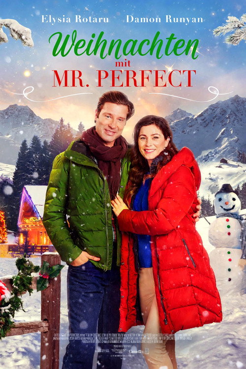 Weihnachten mit Mr. Perfect
