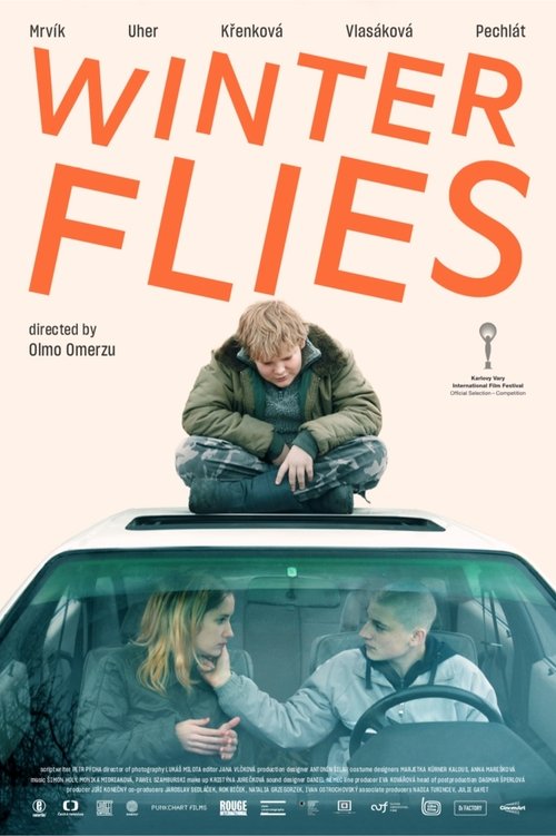 Francais Winter Flies Film Streaming VF