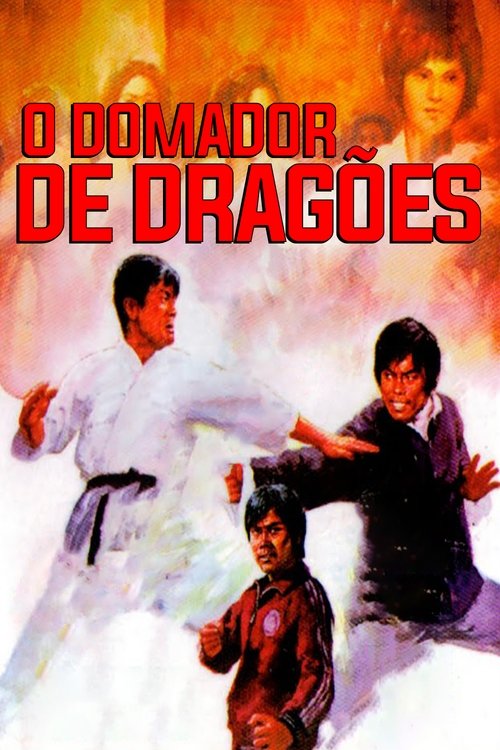 Pôster de O Domador de Dragões