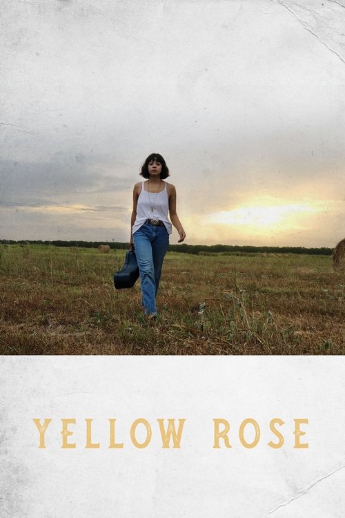 Yellow Rose 2019