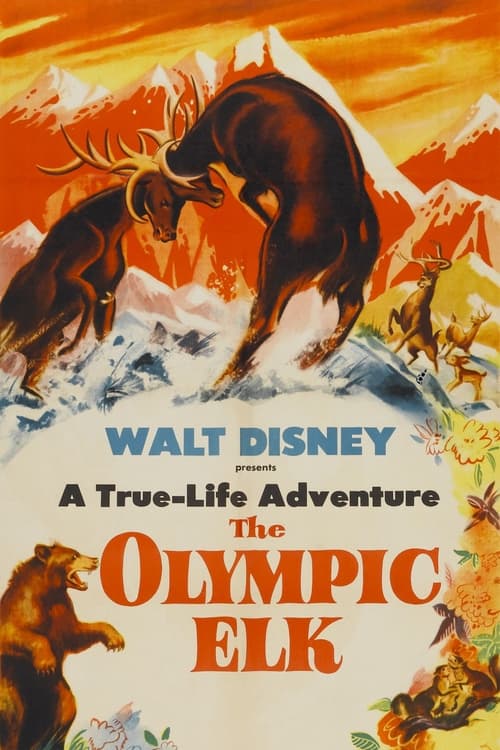 Where to stream The Olympic Elk