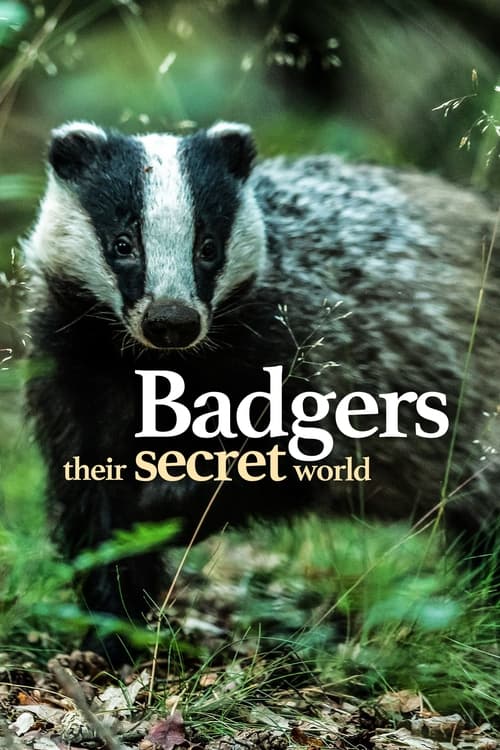 Poster Badgers: Their Secret World