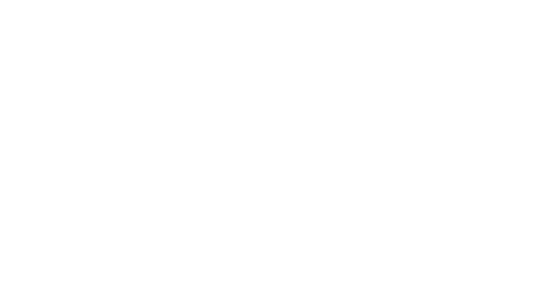 The Rise and Fall of Legs Diamond
