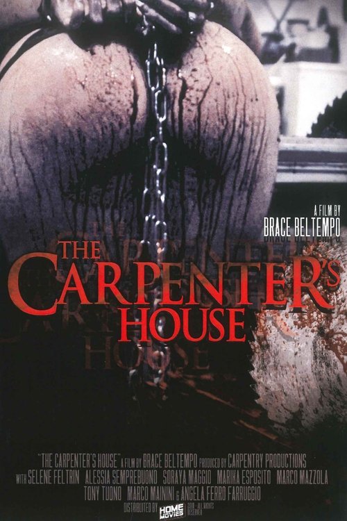 The Carpenter's House movie poster player