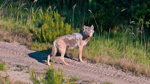 Image de l'épisode 16