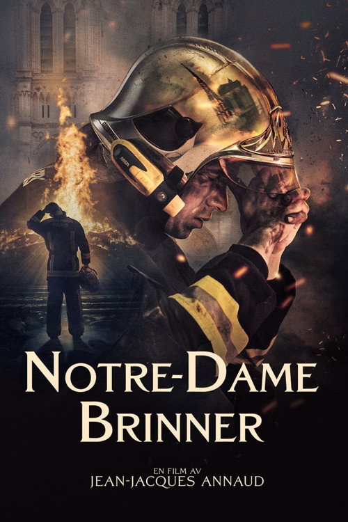 Notre-Dame on Fire poster