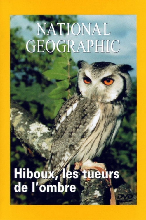 National Geographic - Hiboux, les tueurs de l'ombre