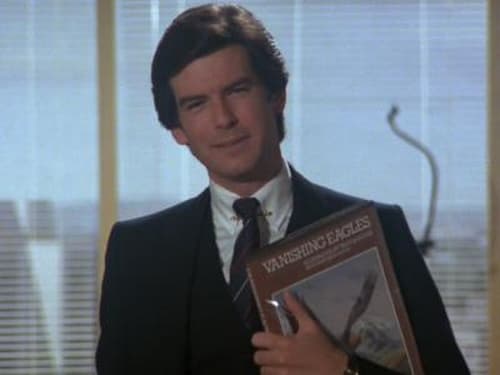 Poster della serie Remington Steele