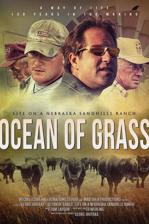 Where to stream Ocean of Grass: Life on a Nebraska Sandhills Ranch