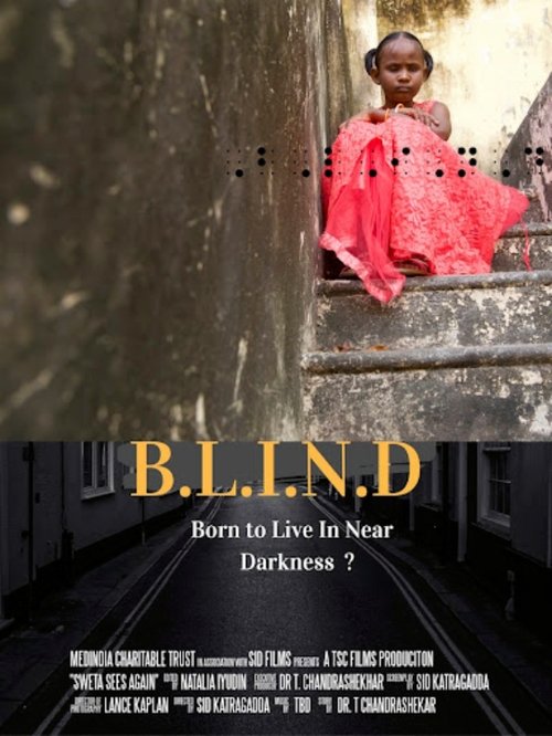 B.L.I.N.D: Born to Live In Near Darkness poster