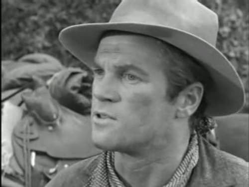 Poster della serie Gunsmoke