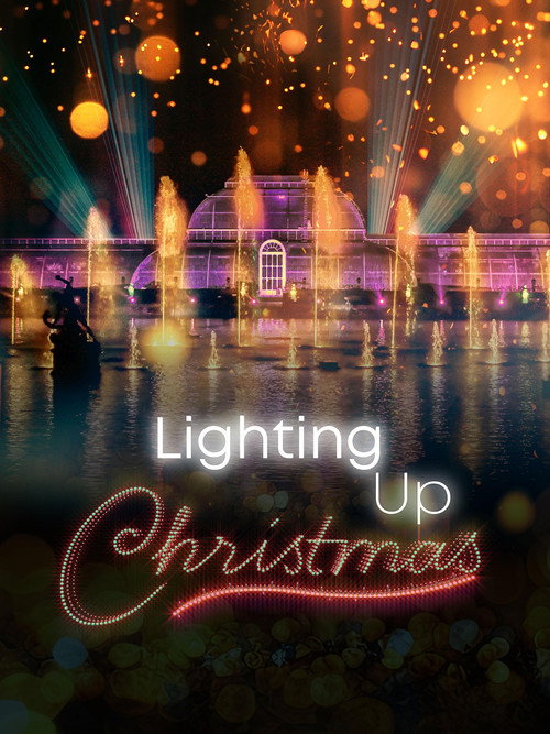 Lighting Up Christmas