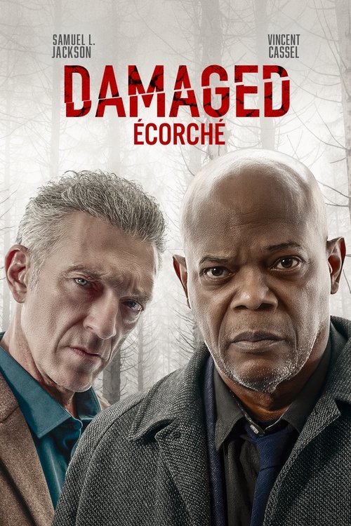 Poster image du film Damaged Damaged