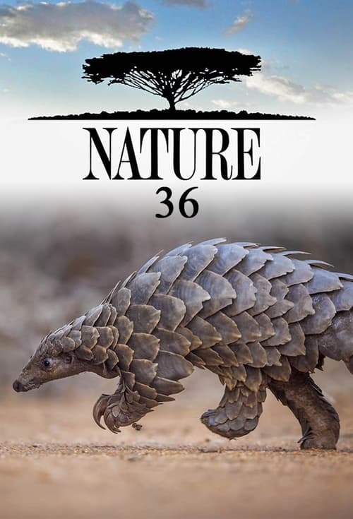 Nature, S36 - (2017)