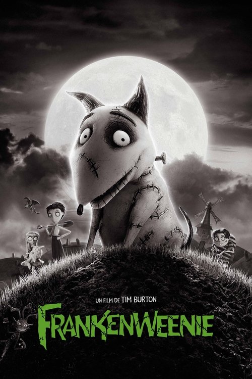Poster image du film Frankenweenie Frankenweenie