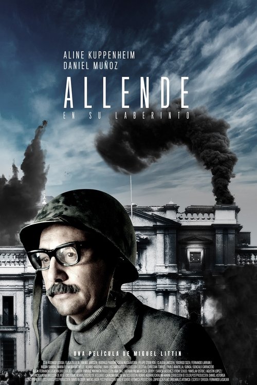 Allende en su laberinto 2014