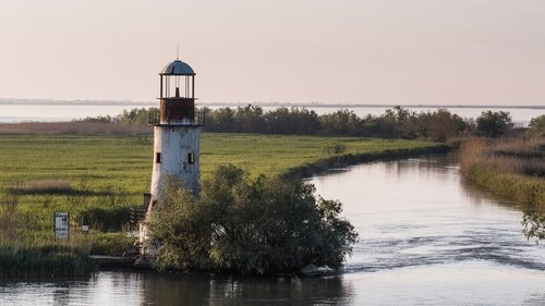 Europe's New Wild
